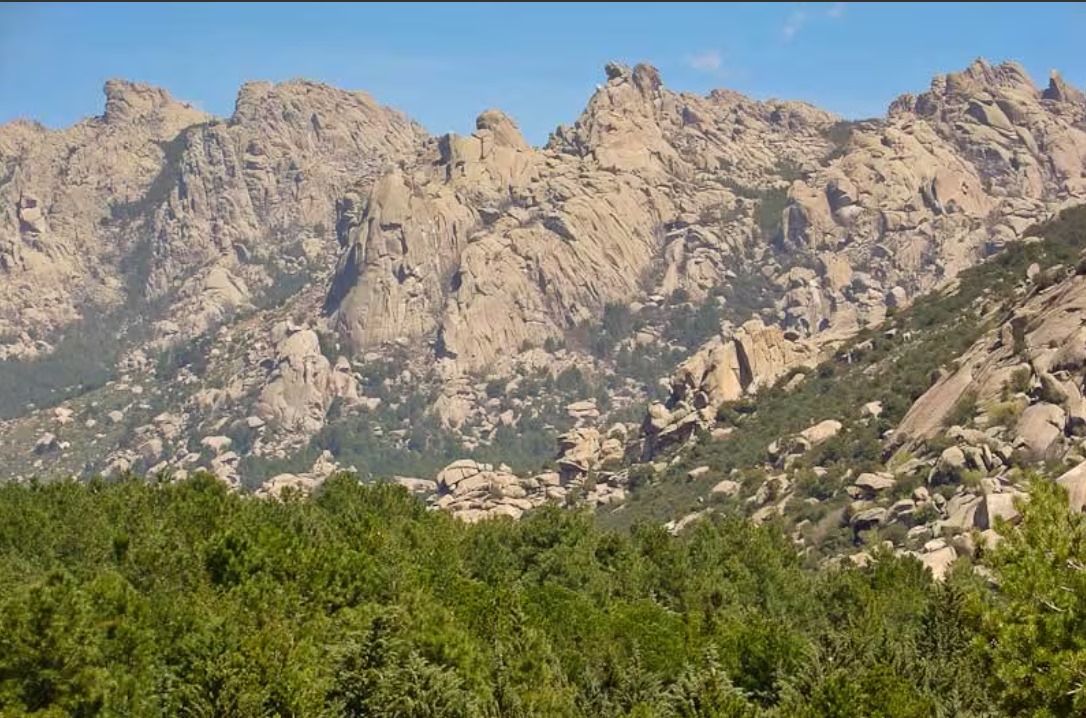 Madrid receta naturaleza para la salud mental